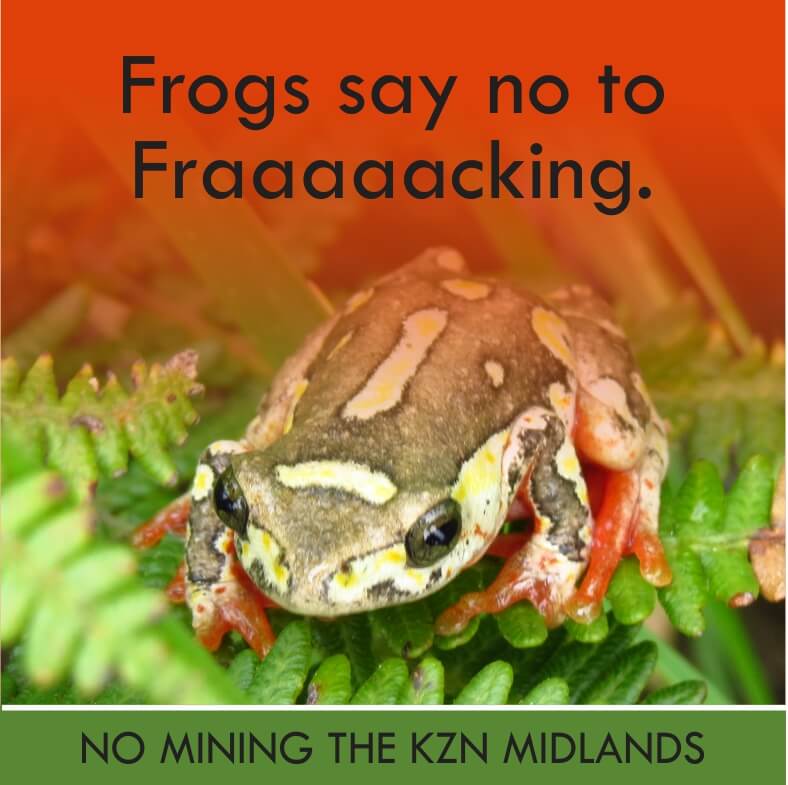frack-frog1